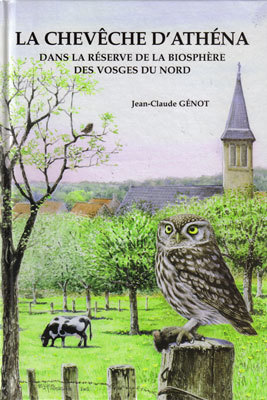 La chevêche d'Athéna : Athena noctua : dans la réserve de la biosphère des Vosges du nord de 1984 à 2004 / Jean-Claude Génot | Génot, Jean-Claude. Auteur