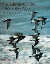 La migration des oiseaux / Robert Burton | Burton, Robert. Auteur