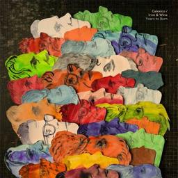 Years to burn / Calexico, Iron & Wine, groupe instr. et voc. | Calexico. Musicien