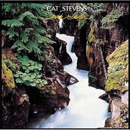 Back to earth / Cat Stevens, aut., comp., chant | Stevens, Cat. Parolier. Compositeur. Chanteur