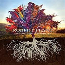 Digging deep : subterranea / Robert Plant, aut., comp., chant | Plant, Robert. Parolier. Compositeur. Chanteur