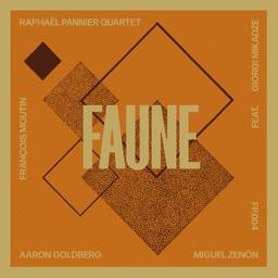 Faune / Raphaël Pannier, comp., arr., batt. | Pannier, Raphaël. Compositeur. Arrangeur. Batterie