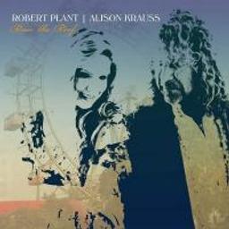 Raise the roof / Robert Plant, chant | Plant, Robert. Chanteur