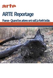 France : Quand les arbres ont soif, la forêt brûle / David Zurmely, réal. | Zurmely, David . Metteur en scène ou réalisateur