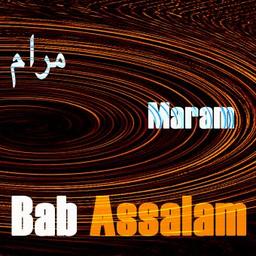 Maram / Bab Assalam, ens. voc. et instr. | Bab Assalam. Musicien