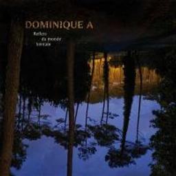 Reflets du monde lointain / Dominique A, chant, guit., flûte de pan | Dominique A. Chanteur. Guitare. Flûte de pan