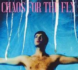 Chaos for the fly / Grian Chatten, aut., comp., chant | Chatten, Grian. Parolier. Compositeur. Chanteur