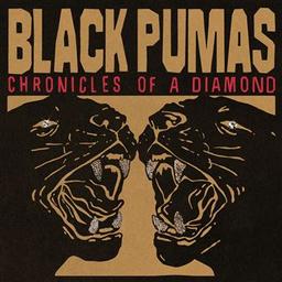 Chronicles of a diamond / Black Pumas, ens. voc. et instr. | Black Pumas. Musicien