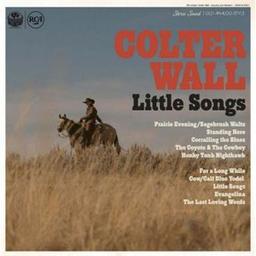 Little songs / Colter Wall, chant, guit. | Wall, Colter. Parolier. Compositeur. Chanteur. Guitare