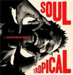 Soul tropical / David Walters, comp., chant | Walters, David. Compositeur. Chanteur