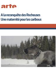 A la reconquete des rocheuses : Une maternite pour les caribous / Sarah Laine, Stéphane Jacques, réal. | Laine, Sarah . Metteur en scène ou réalisateur